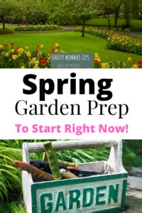 best trade school in spring garden|Spring Garden Prep: What You Need To Do To Get Ready To Grow.